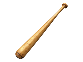 baseball bat