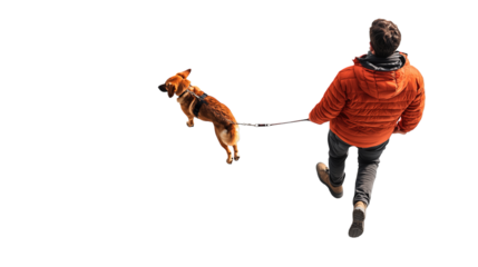 High angle view of a man walking his dog on a leash seen from above. Perfect for lifestyle pet and outdoor themes  on isolated transparent background