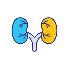 Kidney Icon vector stock illustration