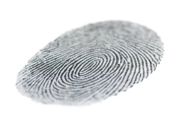 Fingerprint on White Background, Unique Fingerprint Design, Identification Mark, Detailed Print, Cut Out