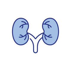 Kidney Icon vector stock illustration