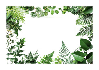 Fototapeta premium Fresh green foliage border for eco-friendly design projects, ideal for nature-themed invitations or announcements, cut out