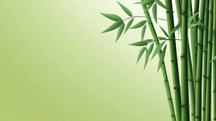 Vibrant Green Bamboo Stalks and Leaves Against Soft Green Background