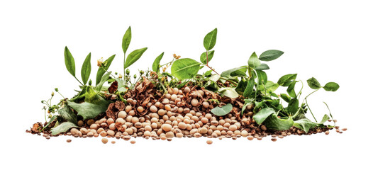 Natural growth with seeds and leaves representing sustainability and eco-friendly gardening practice for urban spaces, cut out