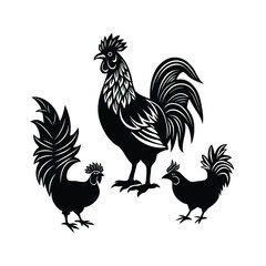 Cock hen 1