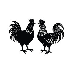 Cock hen 2