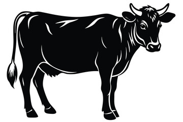 Fototapeta premium A cow with a black and white background