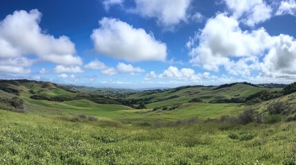 Obraz premium A bright, sunny day captured in a panoramic view of rolling hills, vibrant green grass, and a sky filled with scattered white clouds