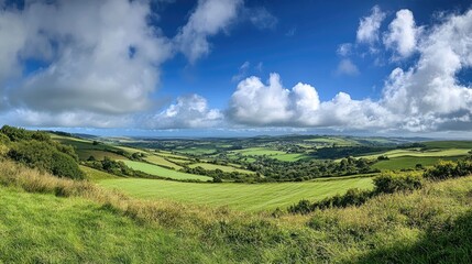 Naklejka premium A stunning panoramic shot of rolling green fields under a crisp blue sky, with white clouds adding to the serene natural beauty