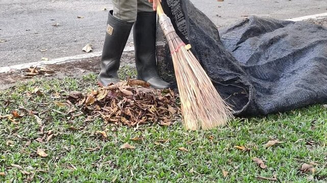 cleaner sweep old dry leaves