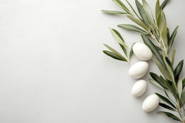 single olive branch with white stones on the right side, on a clean light gray background. Web banner with copy space on the left