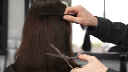 Fototapeta premium Professional hairdresser is carefully combing sleek brown female hair and using professional scissors to cut it while working precisely within bright modern salon setting