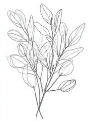 Fototapeta premium Botanical arts. Hand drawn continuous line drawing of abstract flower, floral, rose, tropical leaves, spring and autumn leaf, bouquet of olives. Vector illustration.