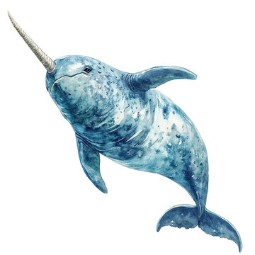 This watercolor illustration portrays a narwhal gracefully swimming, featuring its distinctive horn and aquatic surroundings.