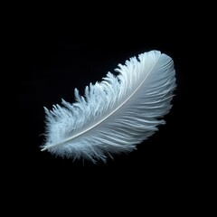 Obraz premium Delicate white feather floating against a deep black background in minimalist composition 