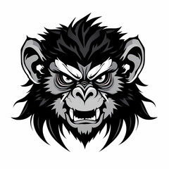 Fototapeta premium Rat Monkey Angry Beast