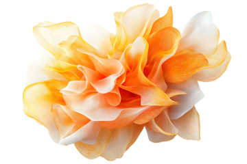 An ethereal blend of golden yellow and pastel orange abstract blooming shape, isolated on a white or transparent background
