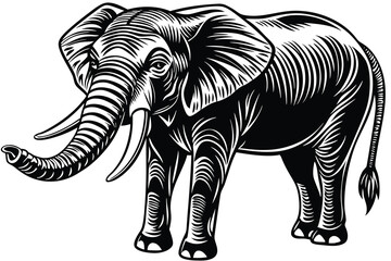 black and white Elephant