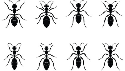 Ant vector shilhouette bundle set icon .