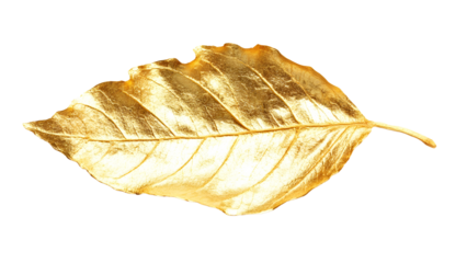 gold leaf Isolated on white background