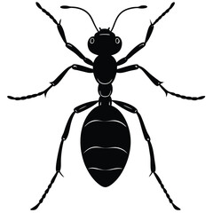 Ant vector shilhouette bundle set icon .