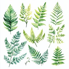 Obraz premium Vibrant Greenery Watercolor Collection Lush Ferns and Foliage