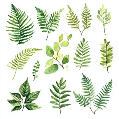 Vibrant Greenery Watercolor Collection Lush Ferns and Foliage