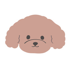 可愛い手書きのモコモコのトイプードルの顔のアイコンイラスト
