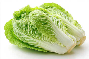 Fresh green napa cabbage with crisp leaves on a white background