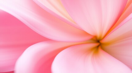 Fototapeta premium A dreamy, close-up of a pink flower showcases its soft texture and gentle, blurred curves.