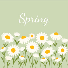 Beautiful daisies on blue background in flat vector style. Happy Easter. Happy Spring