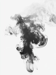 Fototapeta premium PNG Realistic smoke overlay effect