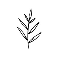 Leaves on branches vector illustration