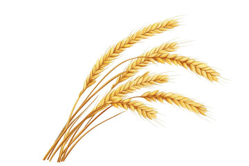 Wheat isolated on a white background, vector illustration