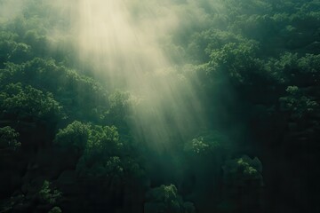 Obraz premium Sunlight beams shining through dense forest canopy creating a serene nature landscape, showcasing tranquility and natural beauty in vibrant greenery.