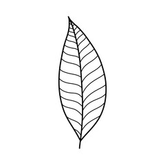 leaf silhouette vector symbol icon design.