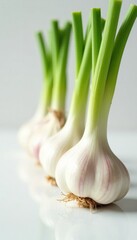 Row of fresh garlic bulbs with green stems standing upright on a clean white surface , kitchen, garlic