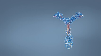Antibody play a crucial role in immune responses,their dynamic nature enhances antigen binding, advancing immunology research - 3d  illustration
