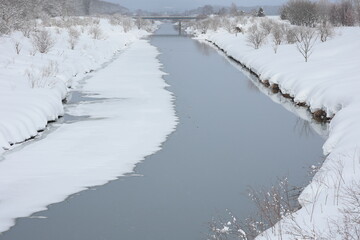 木々が映り込む、穏やかな運河の水面