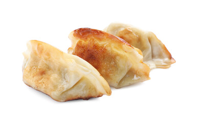 Delicious fried gyoza dumplings isolated on white