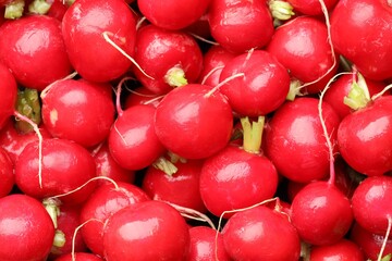Many fresh radishes as background, top view