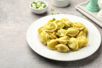 Tasty dumplings with green onion on grey textured table, closeup. Space for text