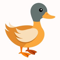 duck and ducklings  on white background.