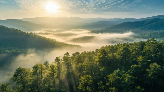 Passage over scenic, sunlit evergreen mountains shrouded in mist, aerial shot