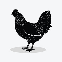 A cute hen rooster silhouette simple flat design vector.