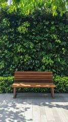 Serene Wooden Bench Surrounded by Lush Green Foliage in Garden