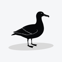 A black and white duck animal vector.