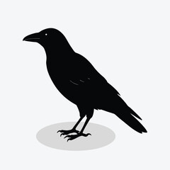 A silhouette crow on a branch simple flat design vector.
