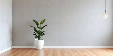 minimalist mockup of a white wall adorned with a vibrant green plant on a polished wood floor,split-color background wall creating a lively and cheerful atmosphere of modern interior design.