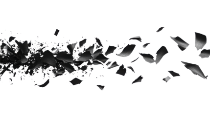 Charred paper scraps scattered on white background